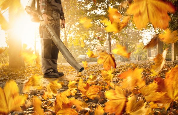 Leaf Blowing Service in Ventura