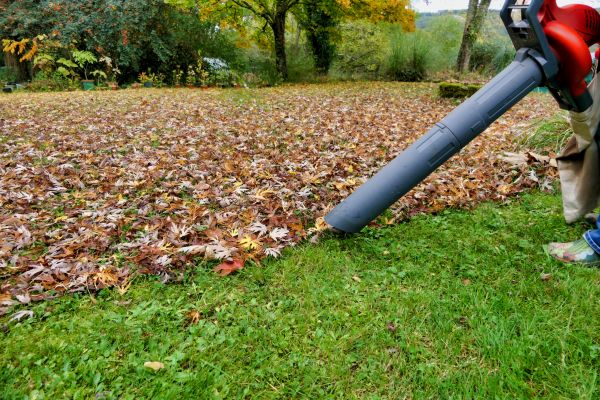 Leaf Vacuuming Service in Ventura