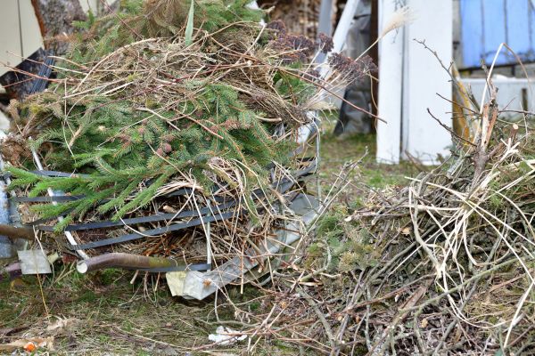 Yard Waste Removal Service in Ventura