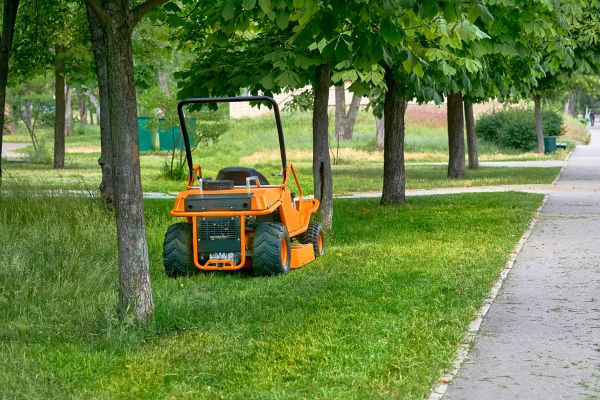 Landscaping Cleanup Service in Ventura