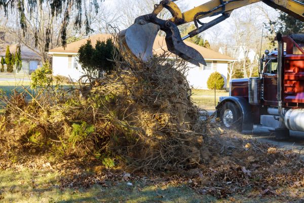 Storm Debris Removal in Ventura