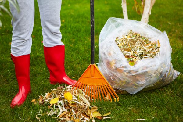 Leaf Disposal Service in Ventura