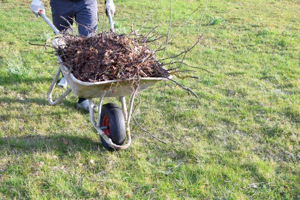 Yard Brush Removal in Ventura