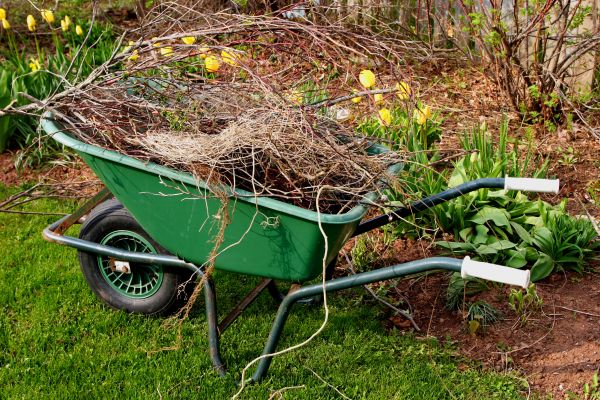 Lawn Waste Removal in Ventura