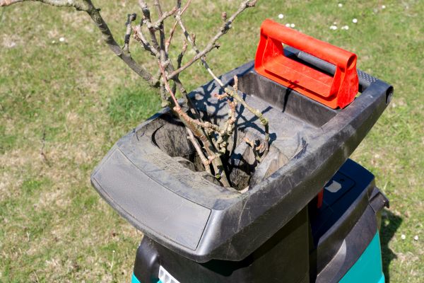 Cost of Brush Cleanup Service in Ventura