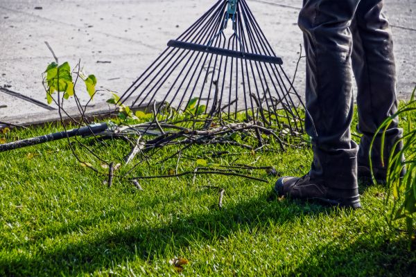 Yard Debris Cleanup in Ventura