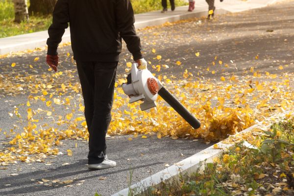 Commercial Leaf Removal in Ventura