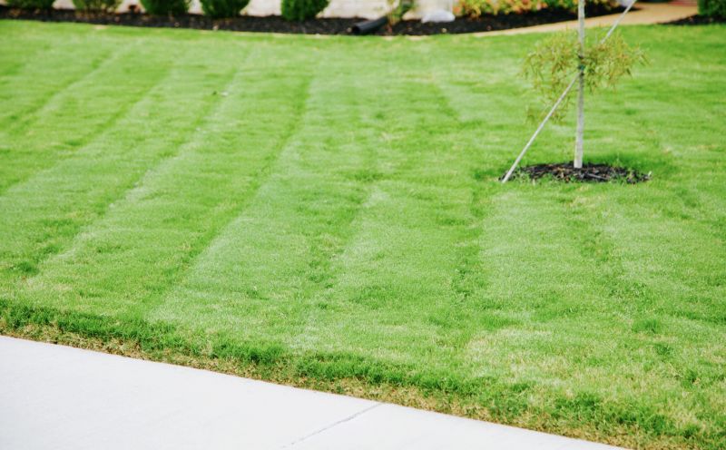 Freshly Trimmed Grass
